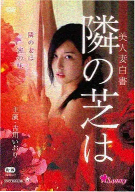 铜雀台的风电影